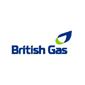 Text and graphic logo for the organisation British Gas.