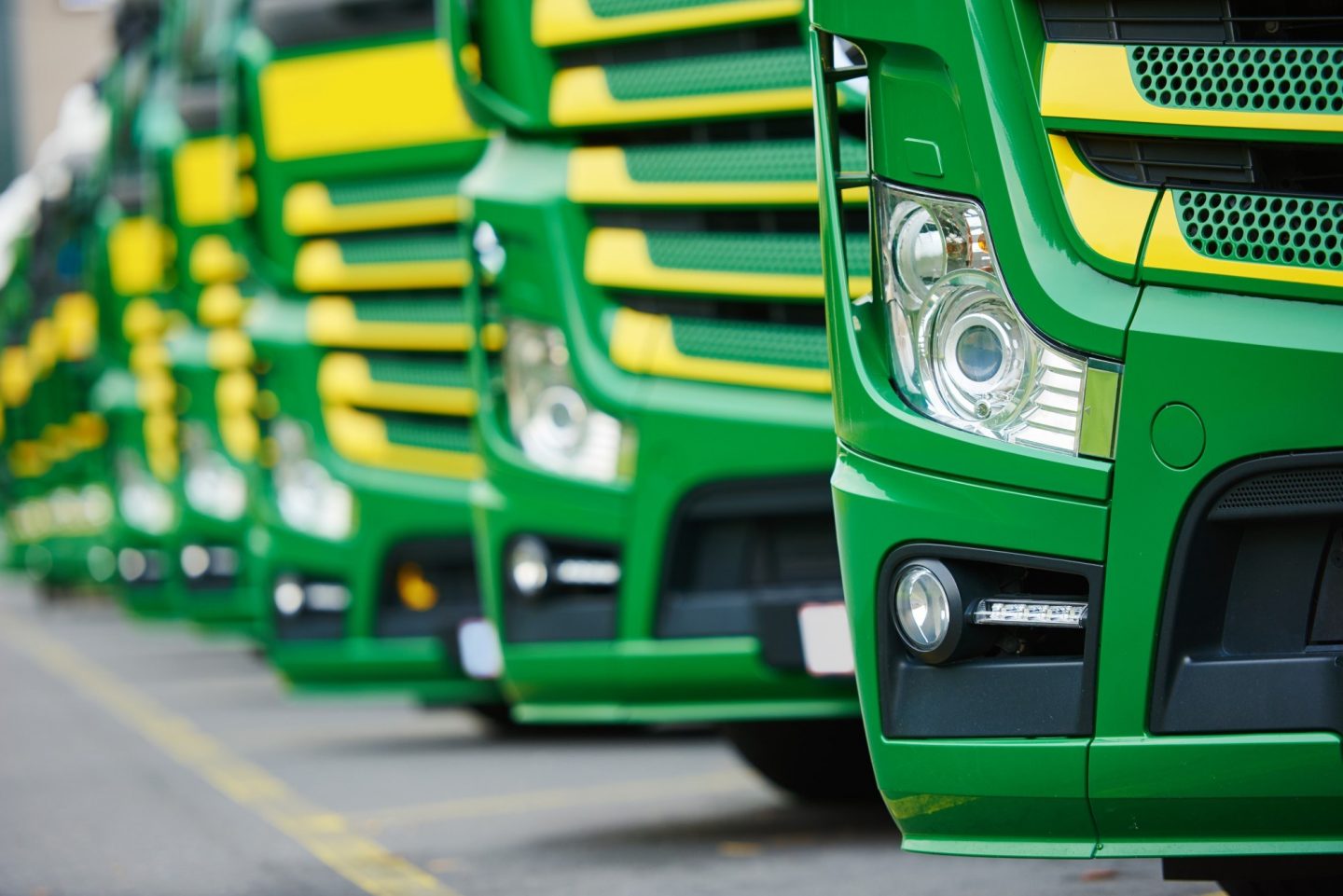 A fleet of green lorries parked in a row, showing their headlights and front bumpers.