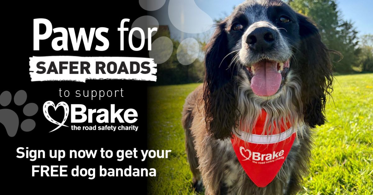 Paws for Safer Roads | Brake