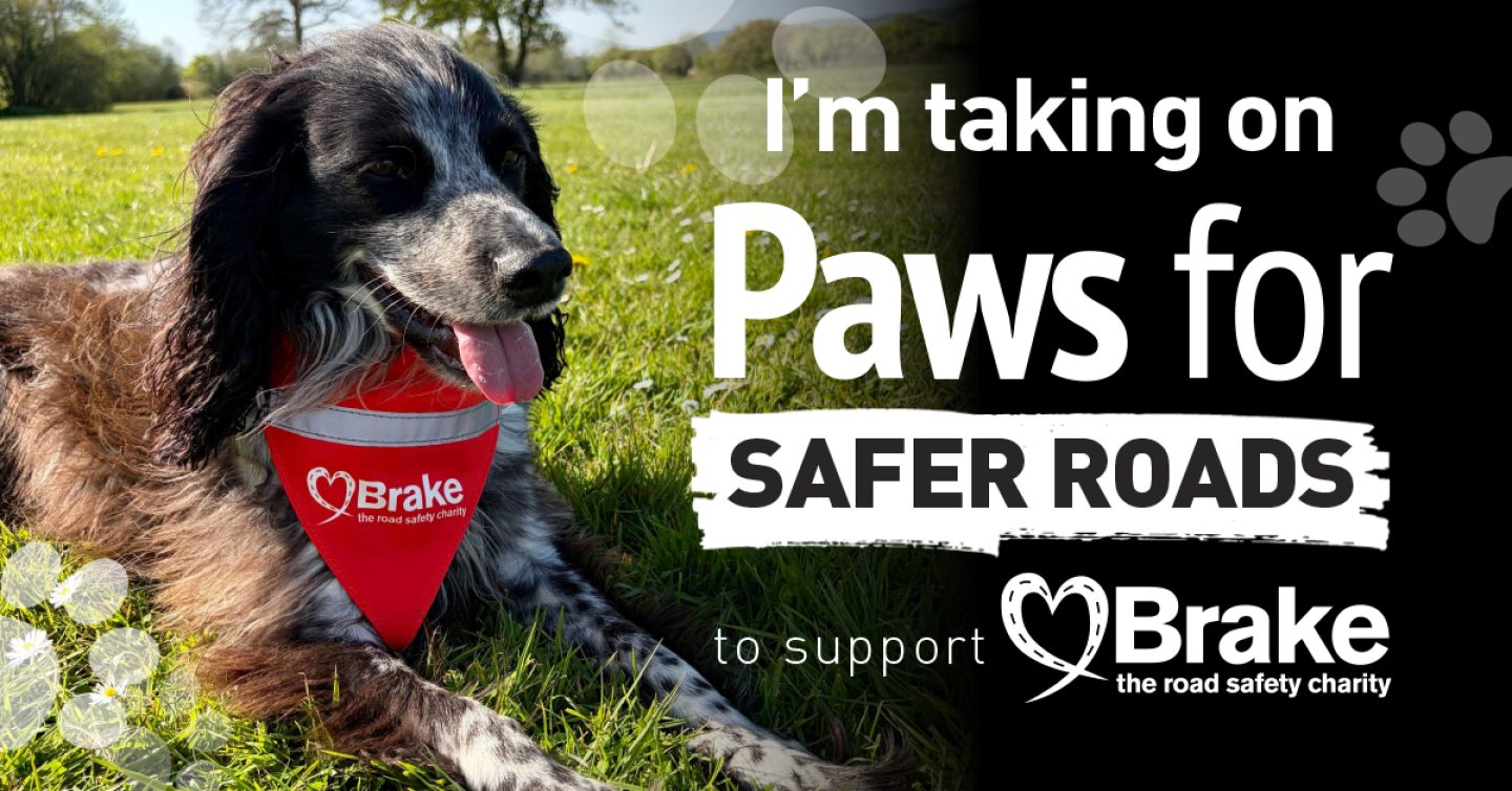 A photo of a black and white springer spaniel lying down in grass. The image is overlaid with text which reads "I'm taking on Paws for Safer Roads to support Brake, the road safety charity." The image is landscape to share on Facebook and LinkedIn.