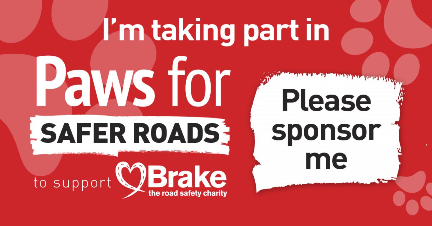 Text based image which states "I'm taking part in Paws for Safer Roads to support Brake, the road safety charity. Please sponsor me." The image is landscape, to share on Facebook and LinkedIn.