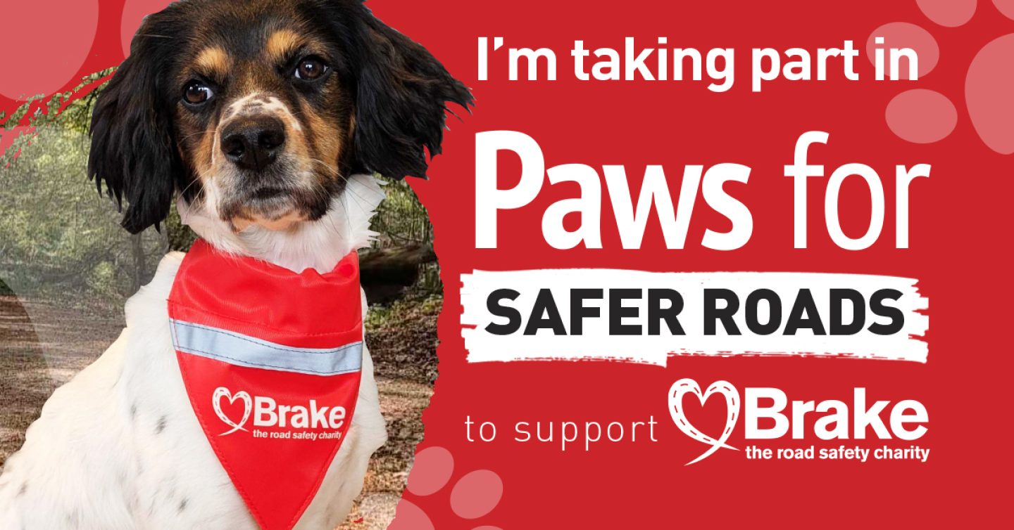 A photo of a tricolour spaniel layered over a text-based image. The text reads "I'm taking part in Paws for Safer Roads to support Brake, the road safety charity. Please sponsor me." The image is landscape to share on Facebook and LinkedIn.