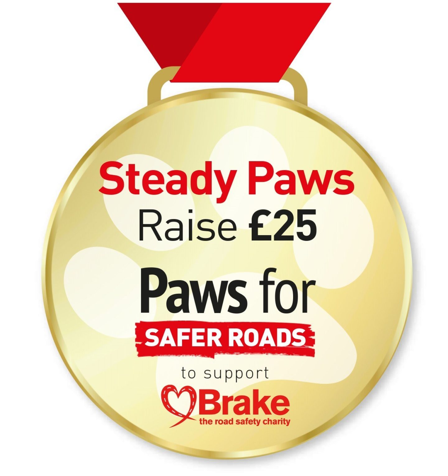 Paws 2026 Medal Steady paws JPG