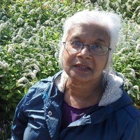 Mena Amica cropped square