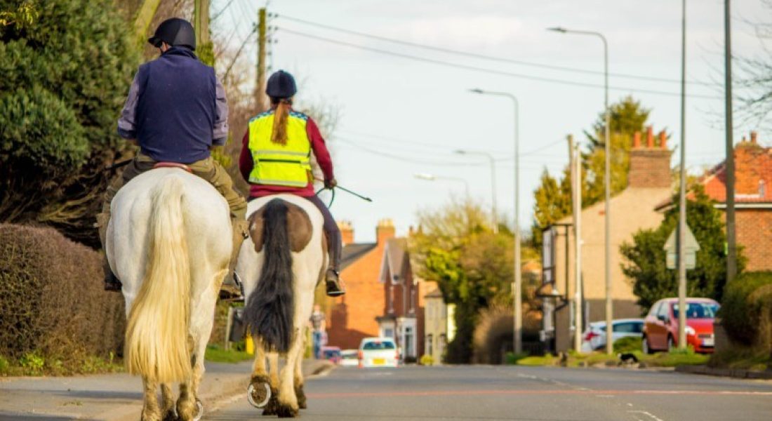 The truth about ‘Horse Power’ Why passing horses safely is… Brake